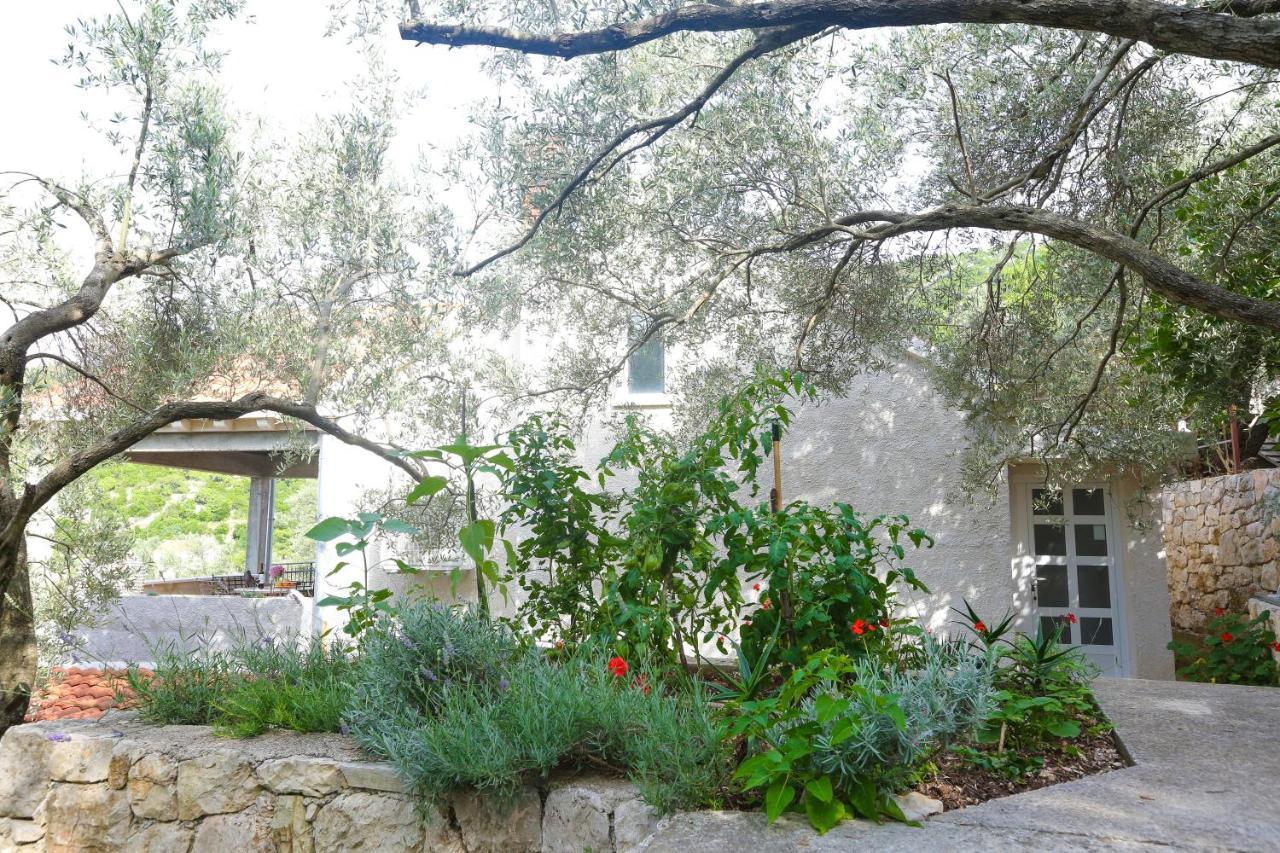 Prožura Spacious Apartment Lucia מראה חיצוני תמונה